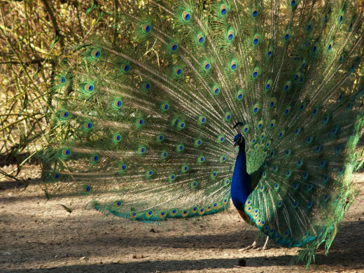 356952 (a): :1600x1200